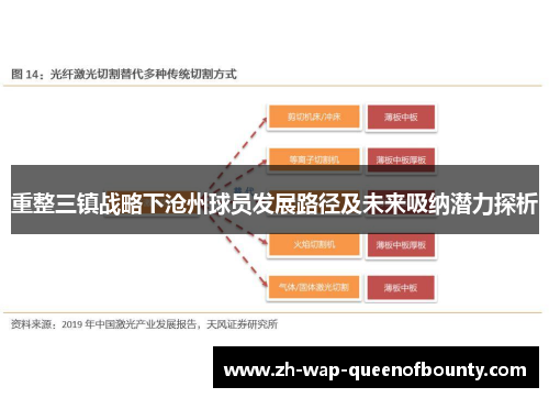 重整三镇战略下沧州球员发展路径及未来吸纳潜力探析