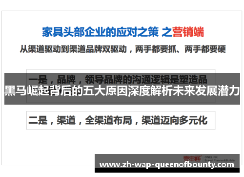黑马崛起背后的五大原因深度解析未来发展潜力
