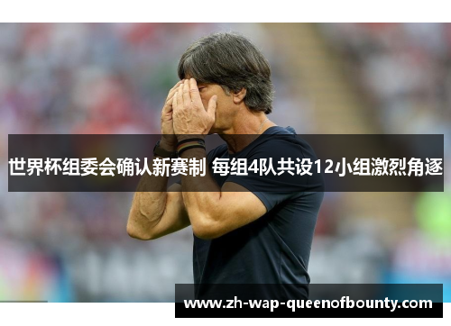 世界杯组委会确认新赛制 每组4队共设12小组激烈角逐